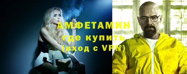 гашик Новозыбков