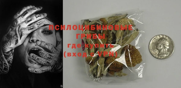 ГАЛЛЮЦИНОГЕННЫЕ ГРИБЫ Новокубанск