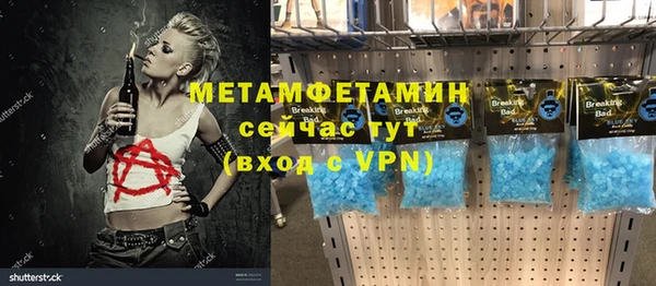 гашик Новозыбков