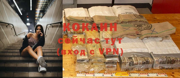 гашик Новозыбков