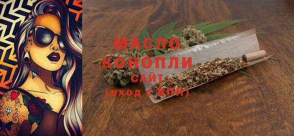 гашик Новозыбков