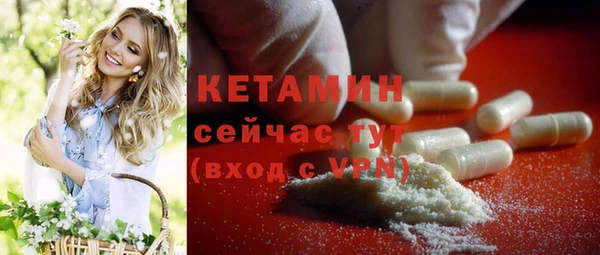 гашик Новозыбков